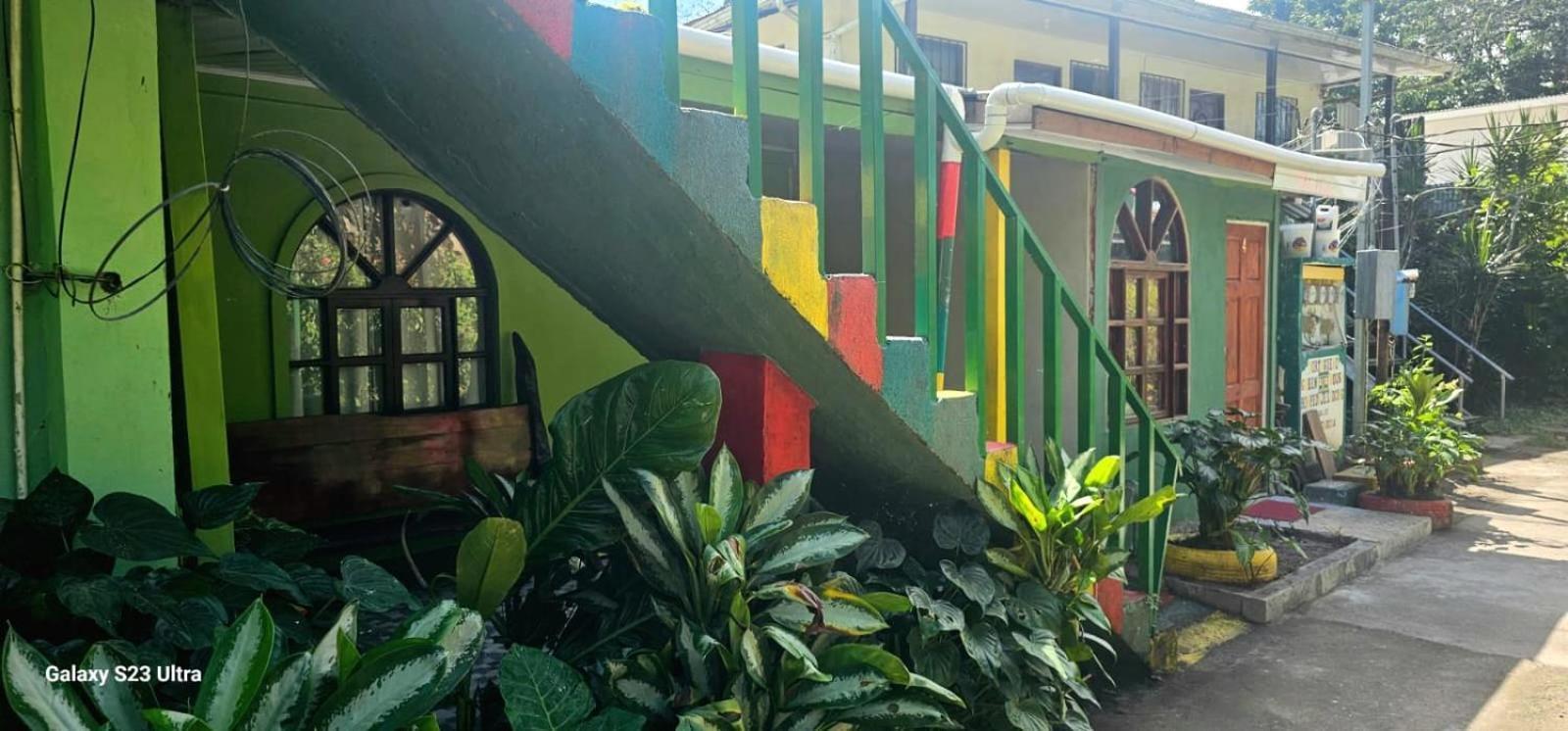 Апартаменти Tortuguero Casa De Playa Green House Екстер'єр фото